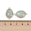 Natural Amazonite Faceted Connector Charms G-K347-11G-04-3