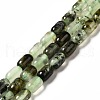 Natural Prehnite Beads Strands G-G980-24-1