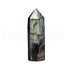 Point Tower Natural Labradorite Healing Stone Wands PW-WG88898-02-5