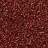 MIYUKI Delica Beads X-SEED-J020-DB0601-3