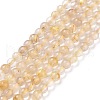 Natural Gold Rutilated Quartz Beads Strands X-G-C009-C04-1