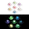 Transparent Luminous Acrylic Pendants TACR-Z002-02-1