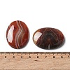 Natural Striped Agate/Banded Agate Cabochons G-H296-01G-4
