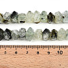 Natural Prehnite Beads Strands G-N347-09A-07-3