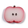 Luminous Resin Fruit Slice Display Decoration DJEW-B014-2