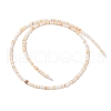 Natural Freshwater Shell Beads Strands SHEL-P017-01A-10-2