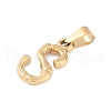 304 Stainless Steel Pendants STAS-F235-01G-S-2