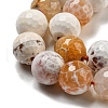 Faceted Natural Fire Crackle Agate Beads Strands G-F447-12mm-H04-4