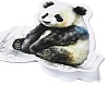 50Pcs Animal PVC Self Adhesive Cartoon Stickers STIC-B001-17-5