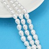 Electroplate Porcelain Imitation Pearl Beads Strands BSHE-Z009-04-1