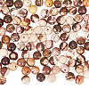 GOMAKERER 2 Strands Natural Zebra Jasper Round Beads Strands G-GO0001-34-1