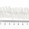 Electroplate Glass Beads Strands X-EGLA-C005-01A-AB01-4
