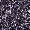 Glass Seed Beads X-SEED-S042-07A-02-3