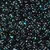 Glass Seed Beads SEED-L011-02A-06-3