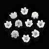 Natural White Shell Bead Caps SSHEL-N032-58A-2