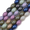 Handmade Lampwork Beads Strands LAMP-S070-11A-1