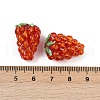 Handmade Lampwork Enamel Beads LAMP-U004-07J-3
