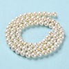 Natural Cultured Freshwater Pearl Beads Strands PEAR-E018-65-3