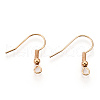 Iron Earring Hooks J07JW-LG-2