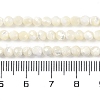 Natural Shell Beads Strands SSHEL-E571-38B-4mm-5