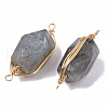 Natural Labradorite Links connectors G-T131-04A-3