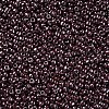 Glass Seed Beads SEED-A012-3mm-126-2