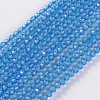 Glass Beads Strands EGLA-E057-02B-09-1