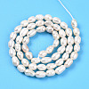 Natural Cultured Freshwater Pearl Beads Strands PEAR-N012-04U-3
