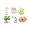 Summer Theme Opaque Resin Decoden Cabochons CRES-M033-04-1