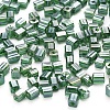 6/0 Glass Seed Beads SEED-YW0001-25F-1