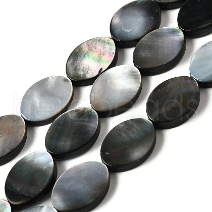 Natural Black Lip Shell Beads Strands BSHE-D300-02-13x18mm-1
