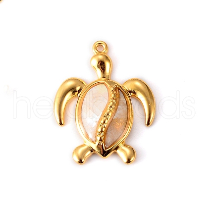 Stainless Steel Shell Pendants PW-WG64CE1-04-1