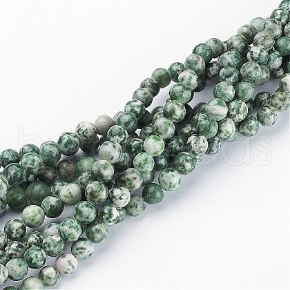 Gemstone Beads Strands GSR6mmC006-1