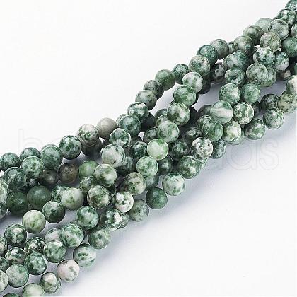 Gemstone Beads Strands GSR6mmC006-1