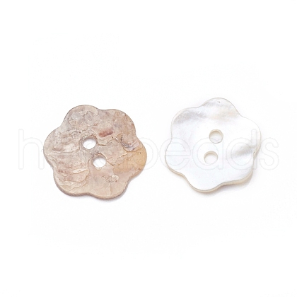 2-Hole Shell Buttons BUTT-D055-01-1