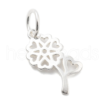 925 Sterling Silver Charms STER-S009-01A-S-1