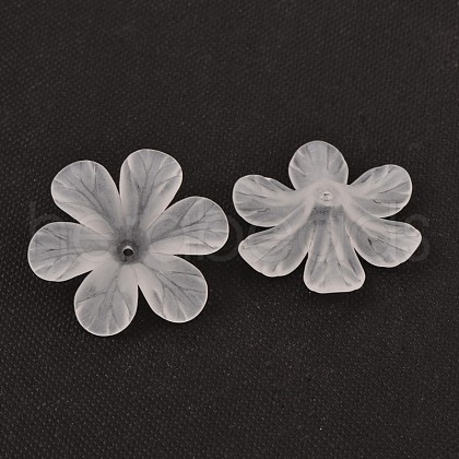 Transparent Acrylic Beads PAF154Y-11-1