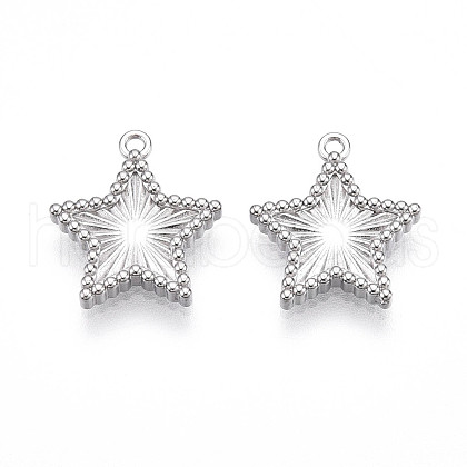 304 Stainless Steel Charms STAS-N109-108P-1