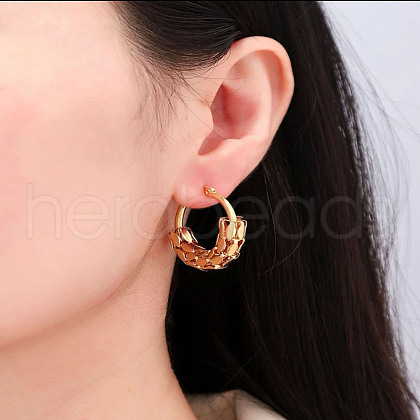 201 Stainless Steel Hoop Earrings FS-WG3CD11-02-1