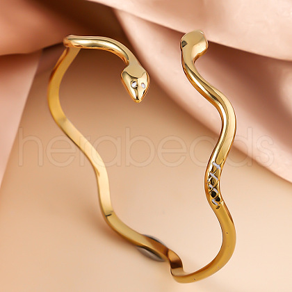 Snake 304 Stainless Steel Cuff Bangles FS-WGA46EE-01-1