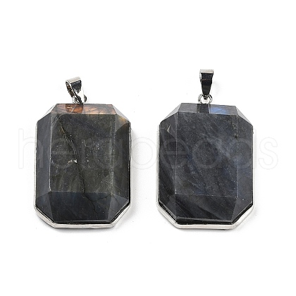 Natural Labradorite Pendants G-B139-02P-04-1