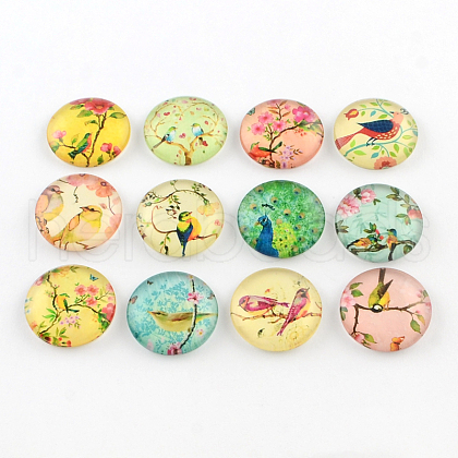 Half Round/Dome Bird Pattern Glass Flatback Cabochons for DIY Projects X-GGLA-Q037-12mm-M07-1