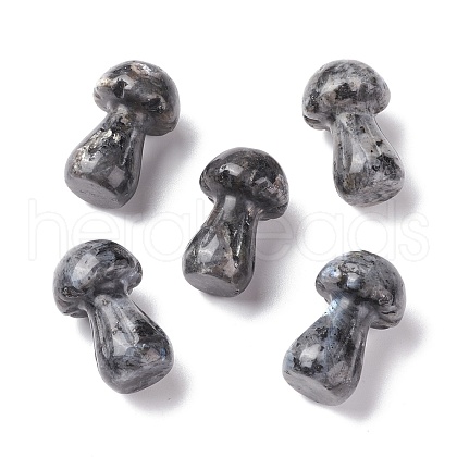 Natural Larvikite GuaSha Stone G-A205-25R-1