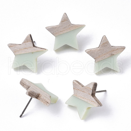 Resin & Wood Stud Earrings EJEW-N017-001A-C03-1