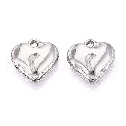 304 Stainless Steel Charms STAS-T065-24B-P-1
