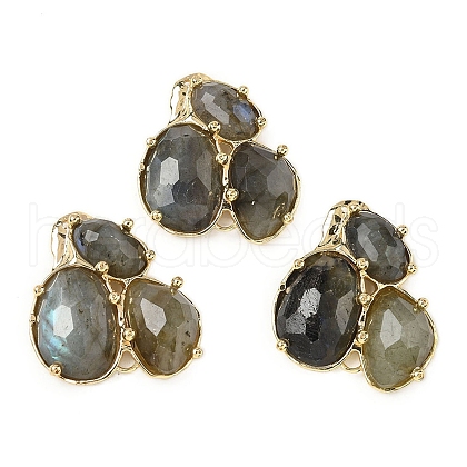 Natural Labradorite Links connectors G-E526-28F-1