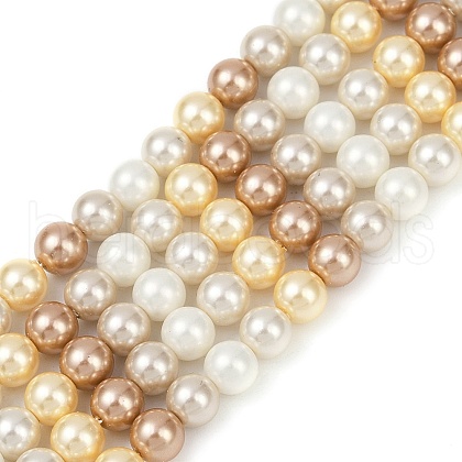 Shell Pearl Beads Strands BSHE-XCP0001-66A-1