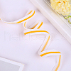 Polyester Ribbon SRIB-F008-A10-19mm-3