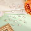 Preciosa® MAXIMA Crystal Fancy Stones X-PRC-FD10-00030-200-2