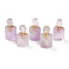 Natural Amethyst Pendants G-H252-E02-1